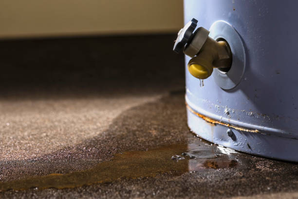 Best Basement water damage restoration  in Croydon, PA