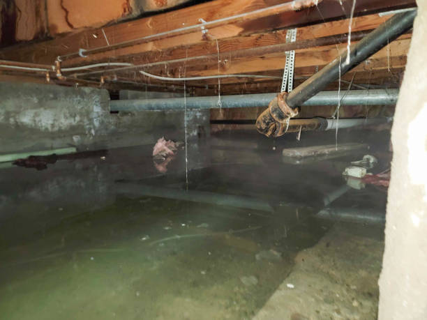 Best Water damage restoration near me  in Croydon, PA