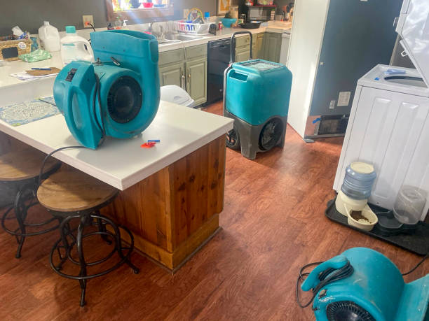 Best Flood damage cleanup  in Croydon, PA