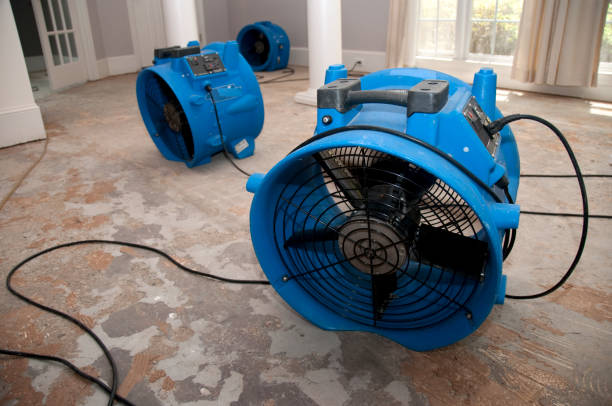 Best Water damage restoration specialists  in Croydon, PA