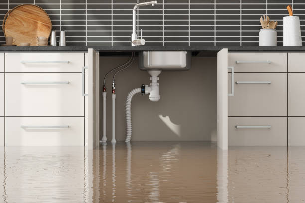 Best Sewage cleanup and water damage restoration  in Croydon, PA