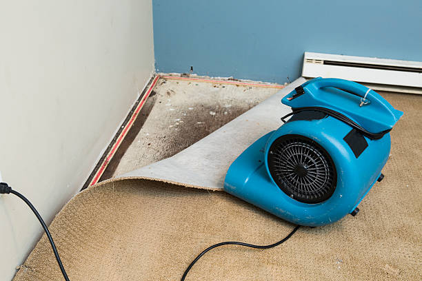 Best Flooded house restoration  in Croydon, PA